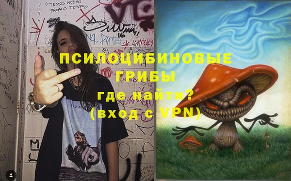 марки nbome Белокуриха