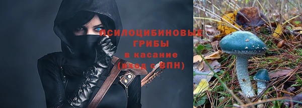 марки nbome Белокуриха